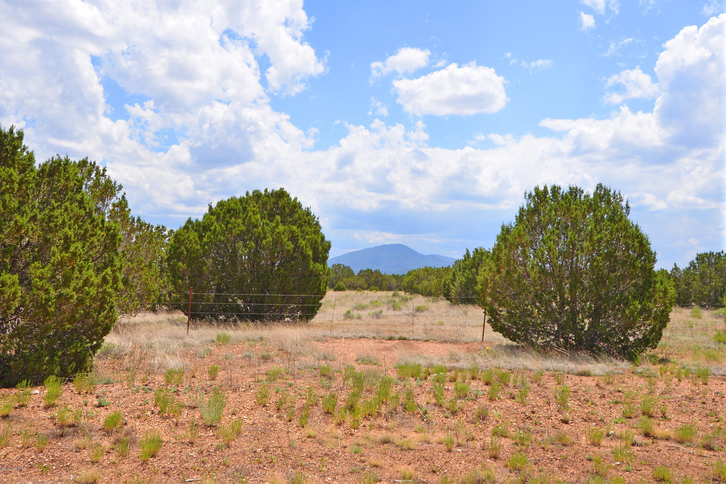 8433 North Red Lake Road Williams, AZ 86046 - Photo 1 of 3 3A