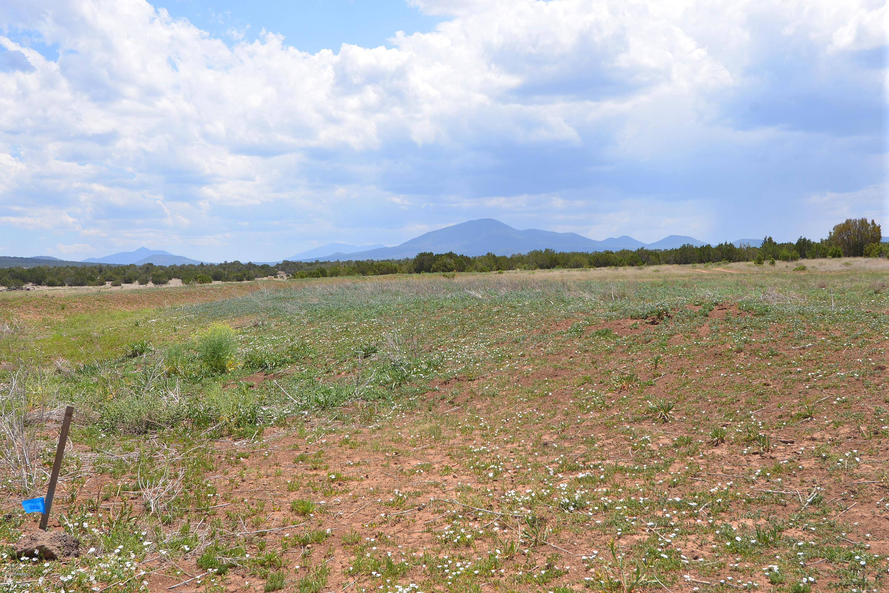 8433 North Red Lake Road Williams, AZ 86046 - Photo 3 of 3 Northboundary2