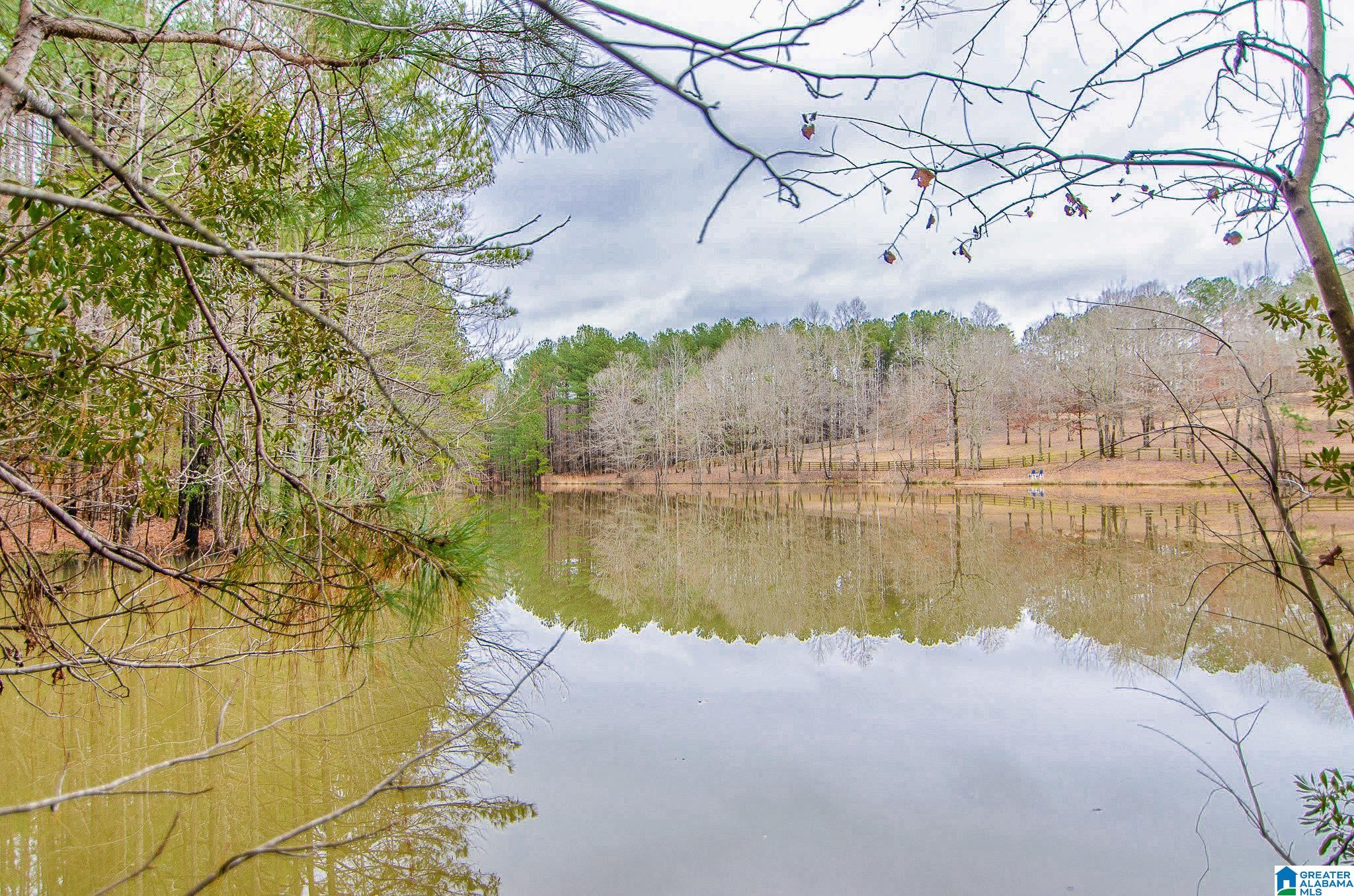 7 High Mesa Circle, Unit 7 Chelsea, AL 35043 - Photo 5 of 14