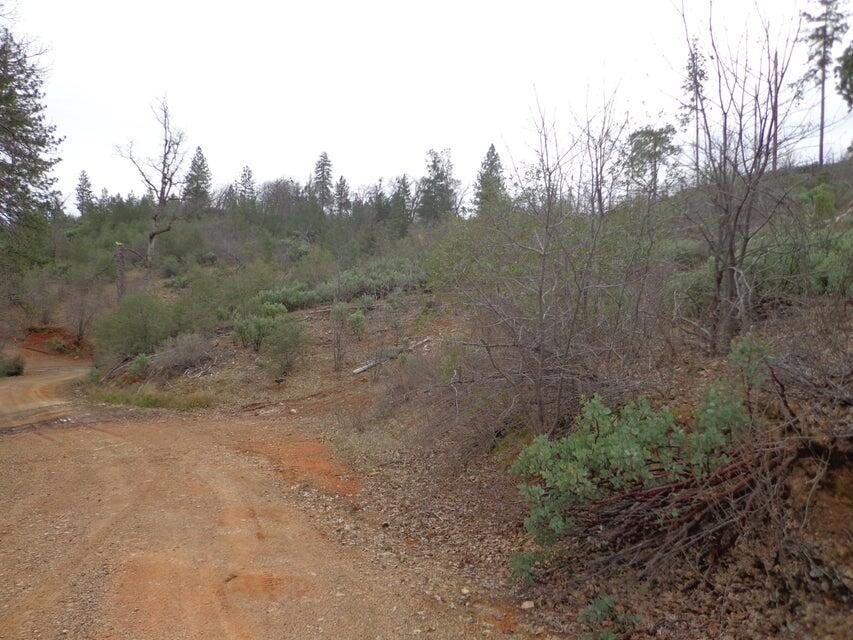 Backbone Road Bella Vista, CA 96008 - Photo 4 of 15 Dirt road access