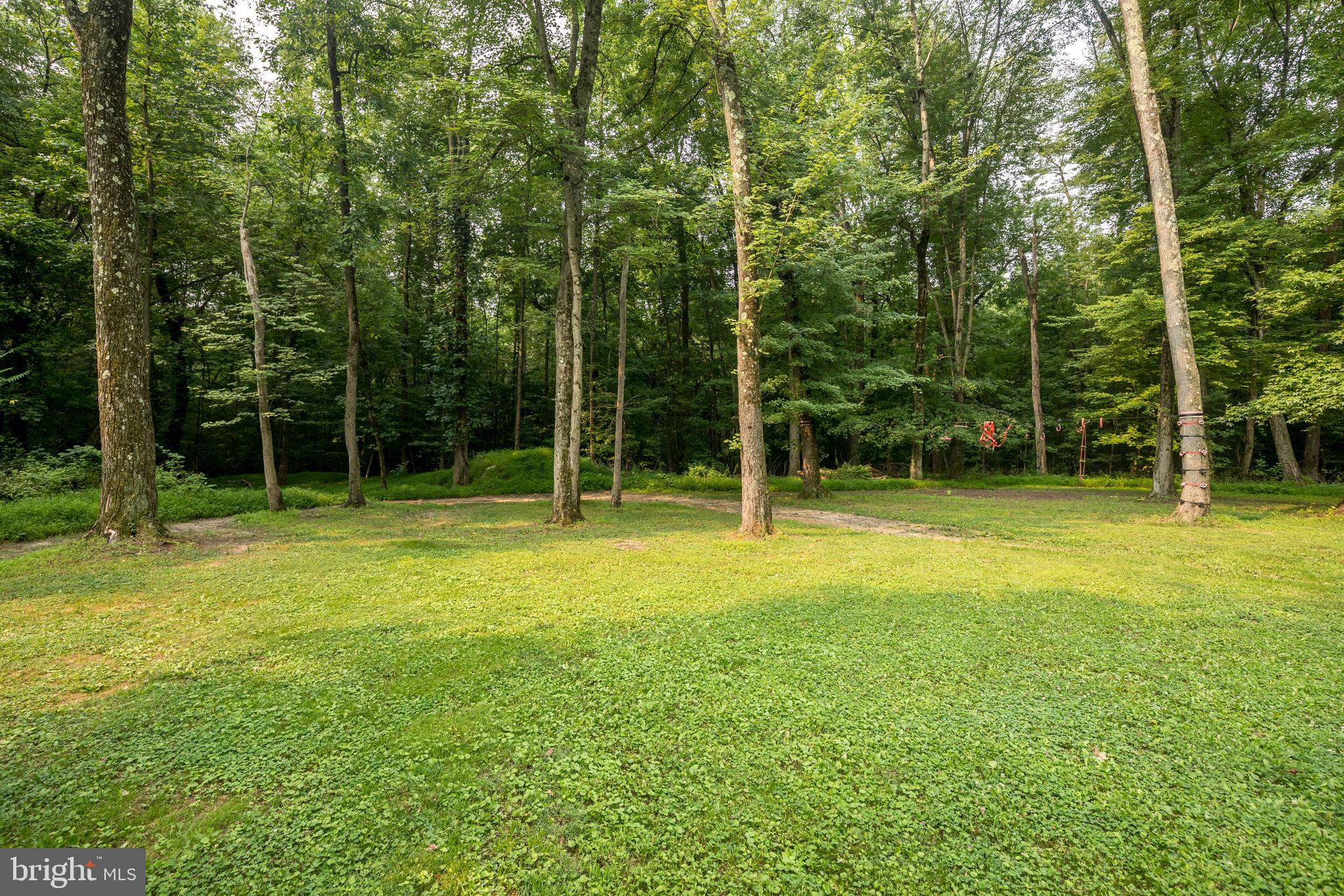 839 Red Toad Road North East, MD 21901 - Photo 40 of 45 1.98 Acre Wooded Lot