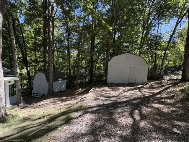a view of a backyard with large trees