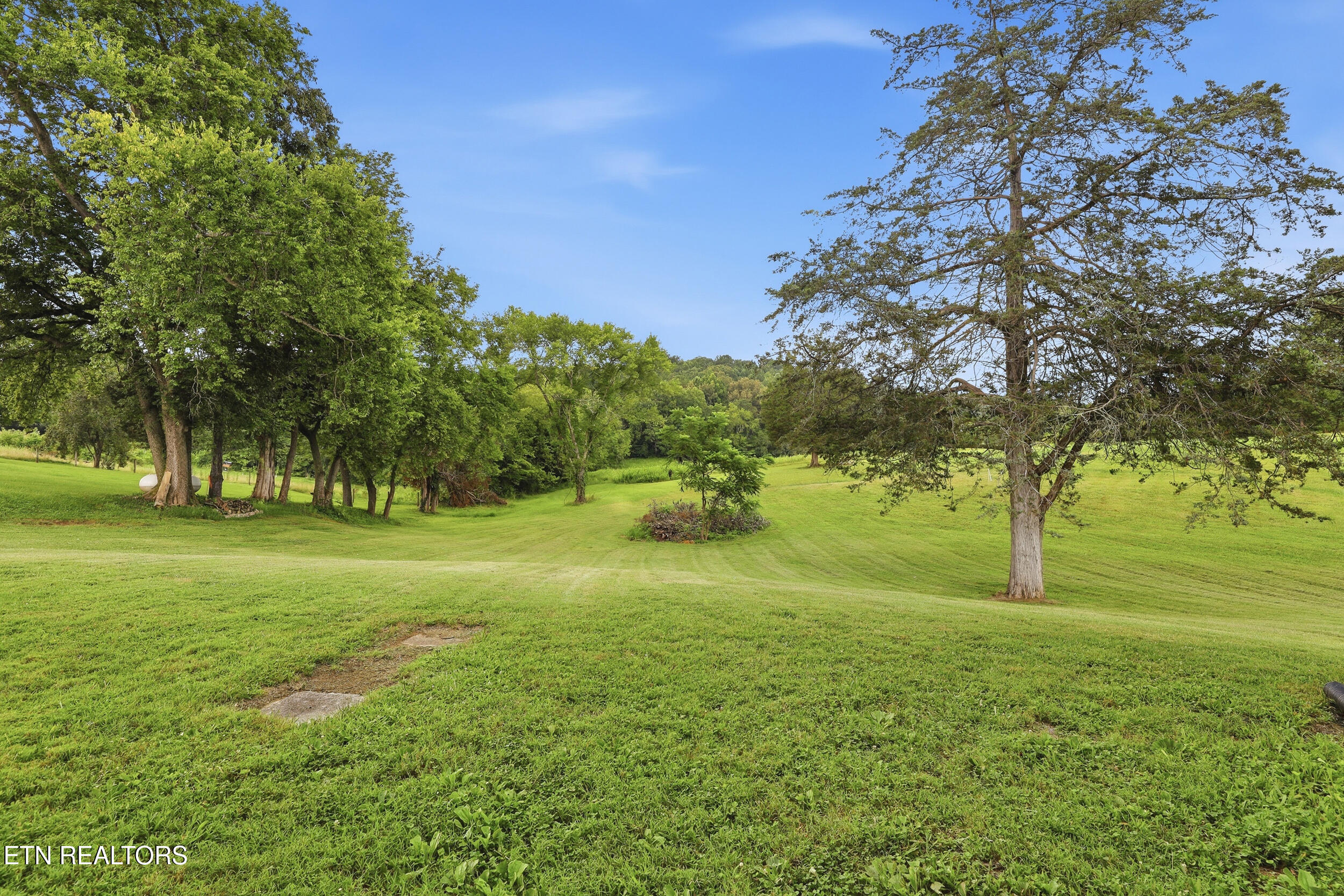9409 Johnson Road Strawberry Plains, TN 37871 - Photo 26 of 34 9409 johnson rd_0081