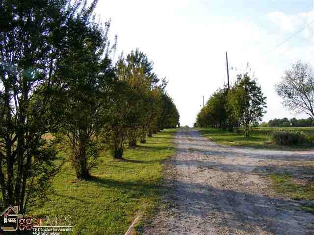 160 State Rd S-42-776 Woodruff, SC 29388 - Photo 24 of 25