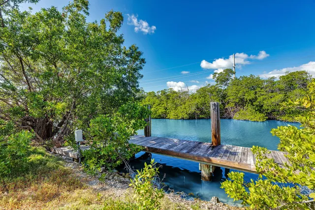 a view of a backyard of the house