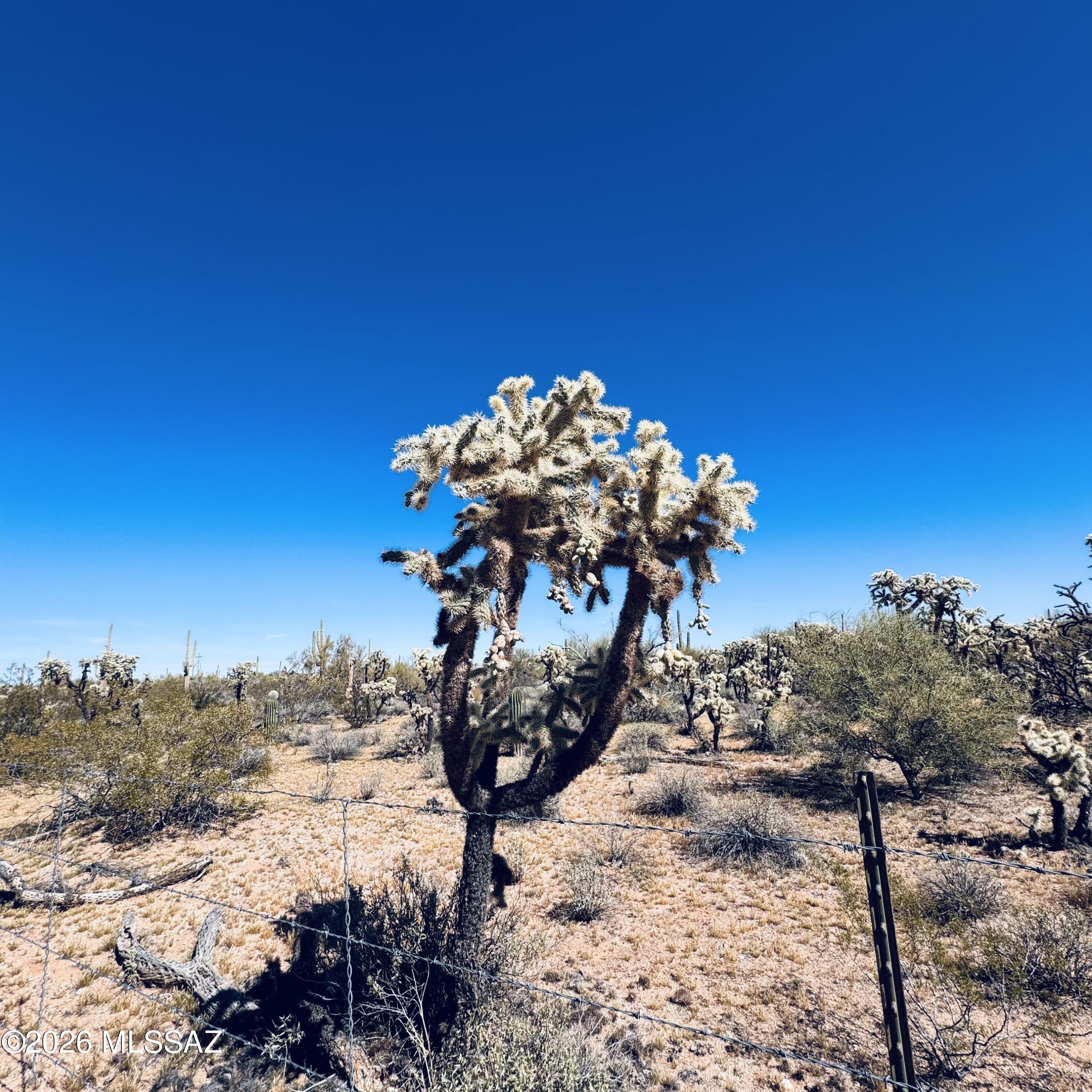 0 South Cattle Tank Road Marana, AZ 85658 - Photo 14 of 18 IMG_3136
