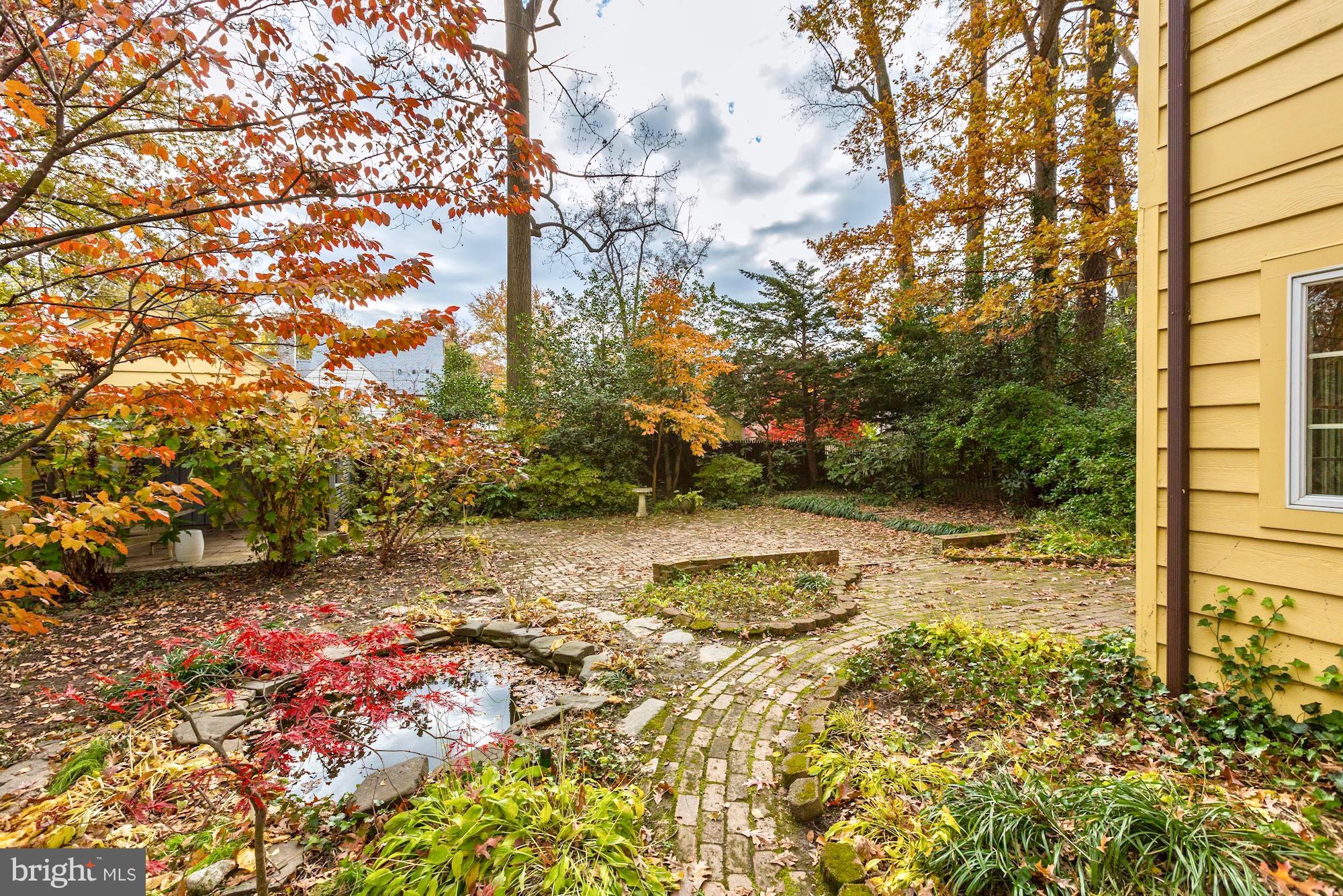6613 32nd Street Northwest Washington, DC 20015 - Photo 46 of 47 Koi pond and leafy trees adorn the backyard