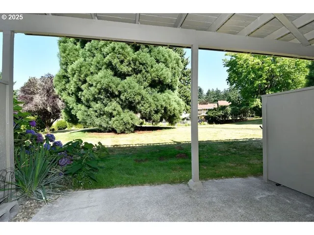 a view of a yard with an tree