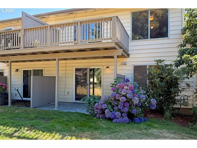 a view of a house with potted plants and more windows
