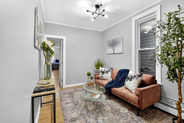a living room with furniture and a potted plant