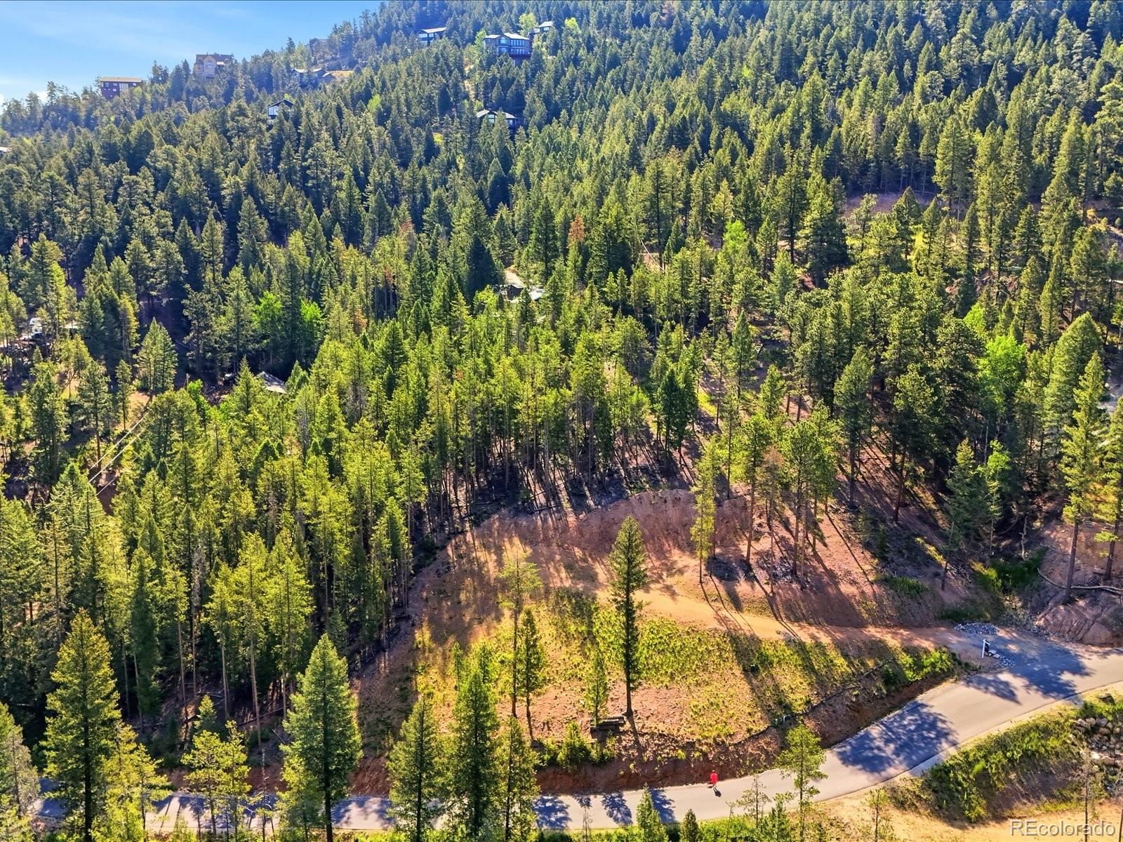 6824 Lynx Lair Road Evergreen, CO 80439 - Photo 2 of 11