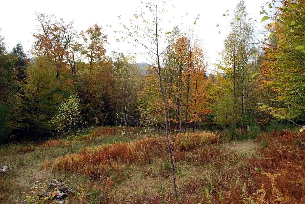 263 River Ridge Road Waitsfield, VT 05673 - Photo 8 of 11
