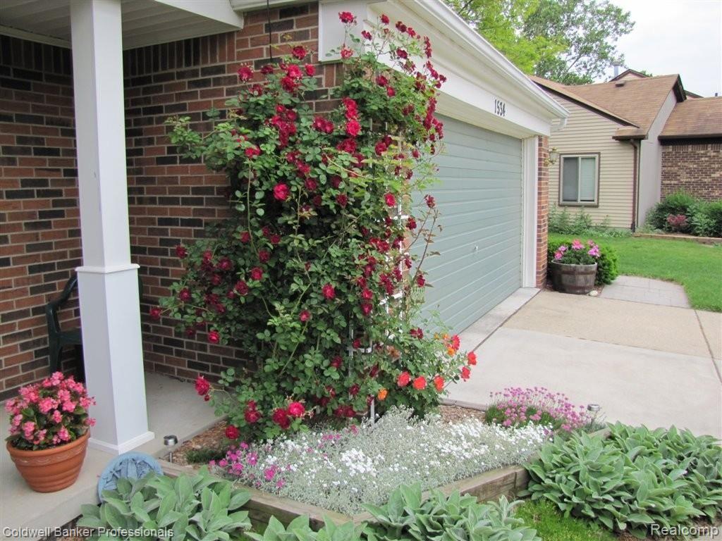 1534 Rand Road Canton, MI 48187 - Photo 2 of 17 Tons of Curb Appeal!