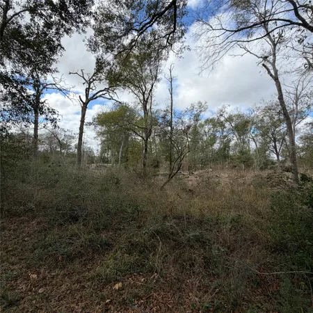 a view of a yard