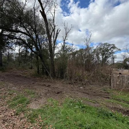 a view of a yard