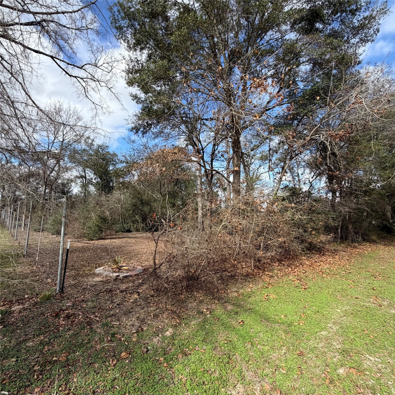 25028 Leitrim Road Hempstead, TX 77445 - Photo 5 of 7 a view of empty space with large trees