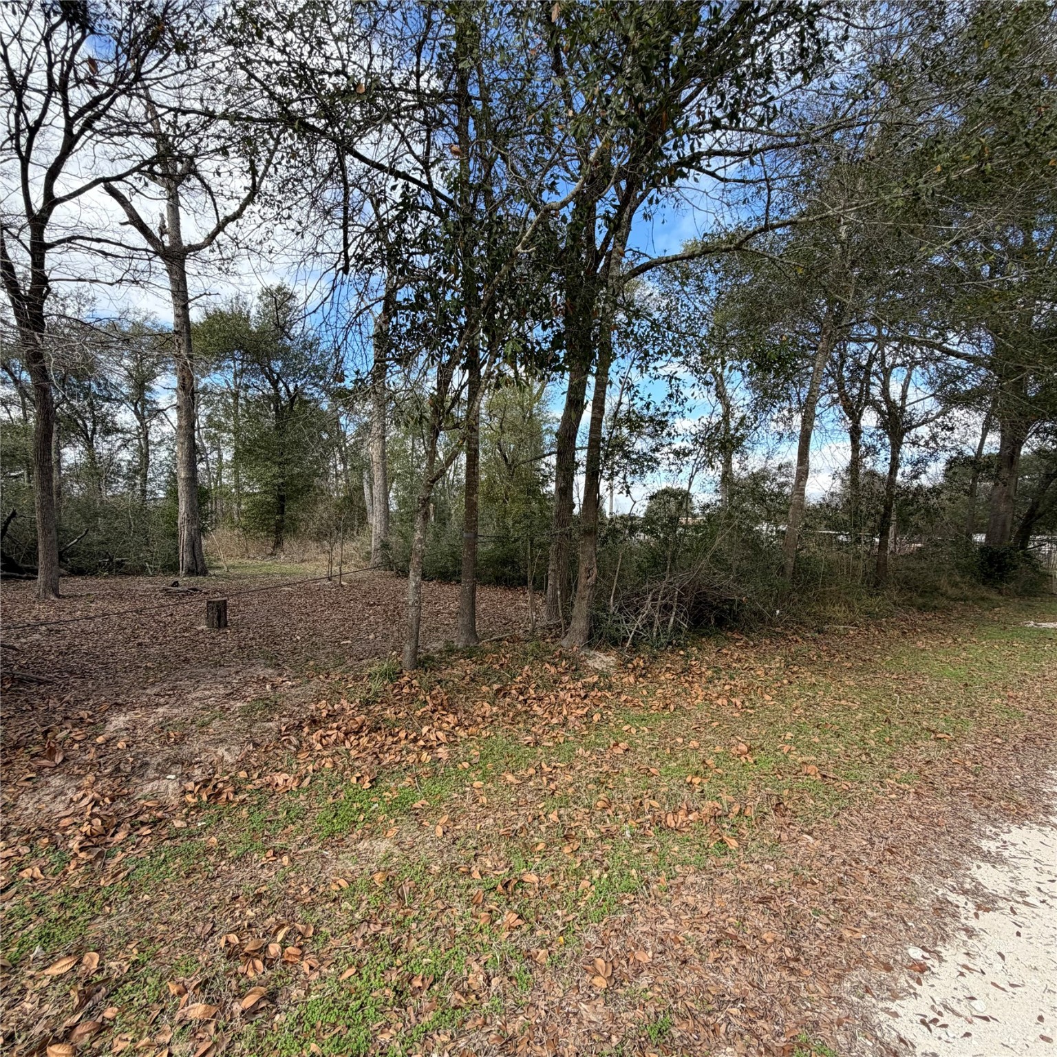 25028 Leitrim Road Hempstead, TX 77445 - Photo 6 of 7 a backyard of a house with lots of green space