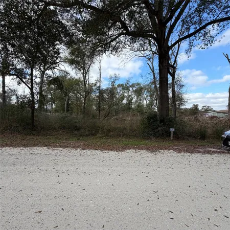 a view of a yard with a tree