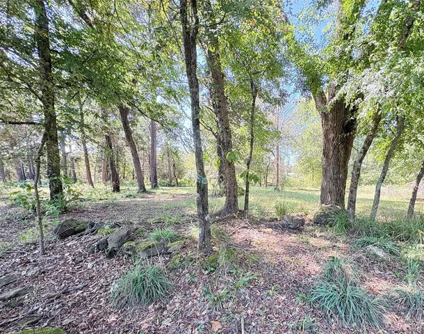 a view of outdoor space and trees