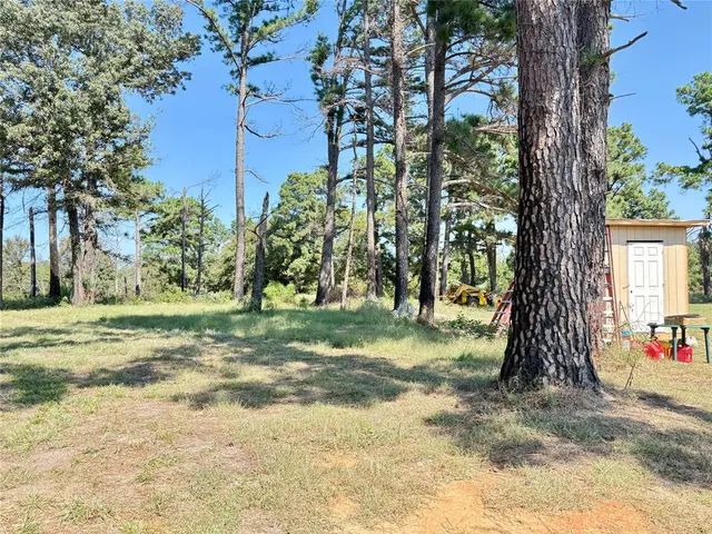 a view of a yard with plants and trees