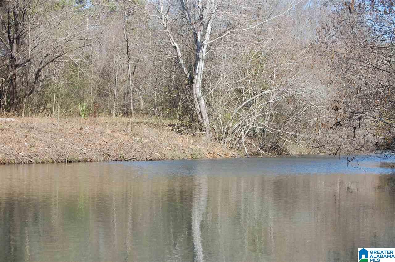 0 Carleton Point, Unit 12 Wilsonville, AL 35186 - Photo 4 of 13