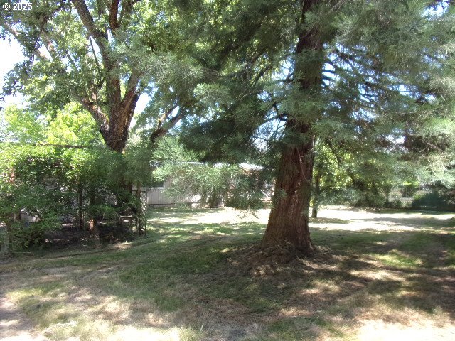 713 Little River Road Glide, OR 97443 - Photo 30 of 36 a view of outdoor space with trees