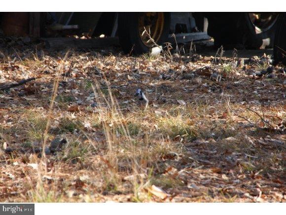 76 Bards Bridge Road Vincentown, NJ 08088 - Photo 16 of 28 Gallery Image 16