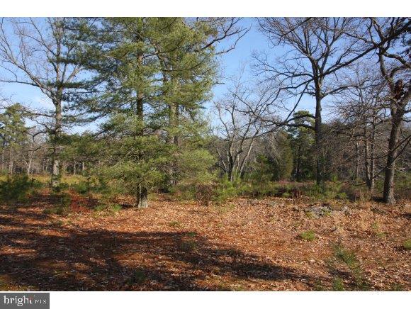 76 Bards Bridge Road Vincentown, NJ 08088 - Photo 23 of 28 Gallery Image 23