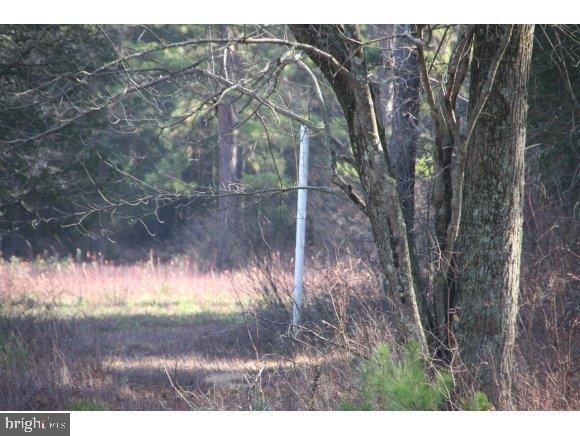 76 Bards Bridge Road Vincentown, NJ 08088 - Photo 24 of 28 Gallery Image 24