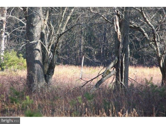 76 Bards Bridge Road Vincentown, NJ 08088 - Photo 25 of 28 Gallery Image 25