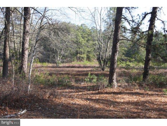 76 Bards Bridge Road Vincentown, NJ 08088 - Photo 26 of 28 Gallery Image 26