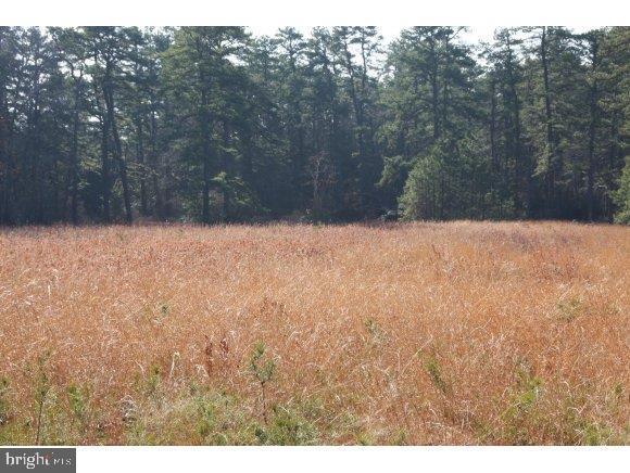 76 Bards Bridge Road Vincentown, NJ 08088 - Photo 28 of 28 Gallery Image 28