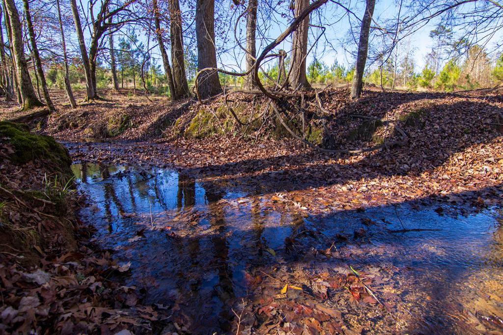 0 St Paul Church Road Shiloh, GA 31826 - Photo 12 of 23 a view of a house with a yard