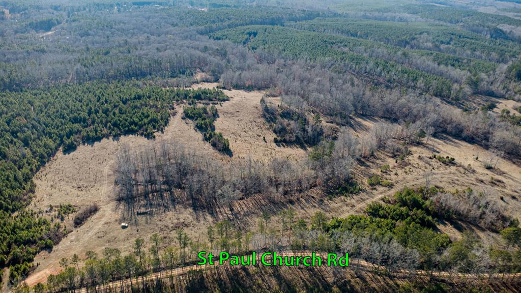 0 St Paul Church Road Shiloh, GA 31826 - Photo 19 of 23 a view of a yard with trees