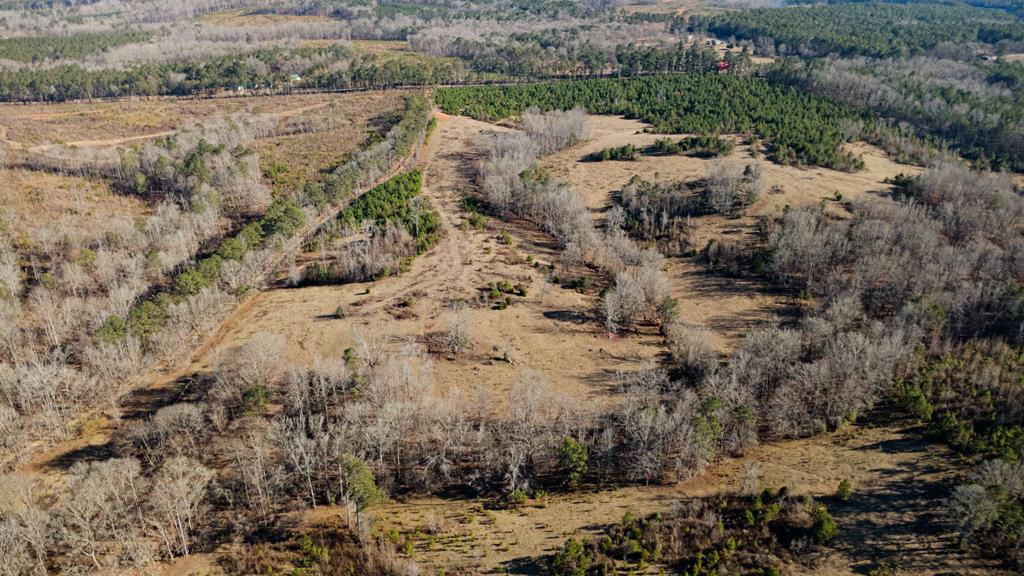 0 St Paul Church Road Shiloh, GA 31826 - Photo 21 of 23 a view of a dry field covered with fog
