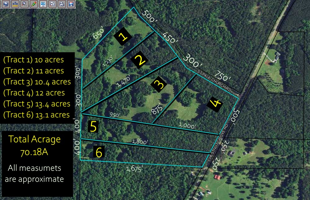 0 St Paul Church Road Shiloh, GA 31826 - Photo 23 of 23