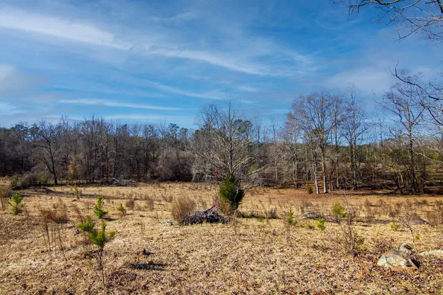 a view of a yard covered in snow