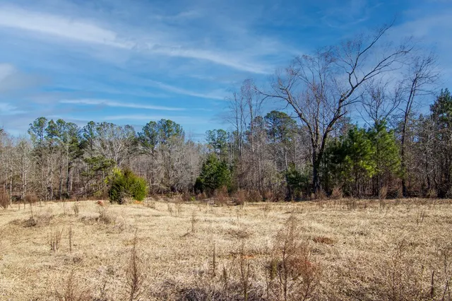 a view of large yard