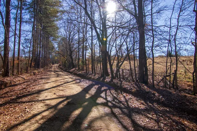 a view of backyard of a house
