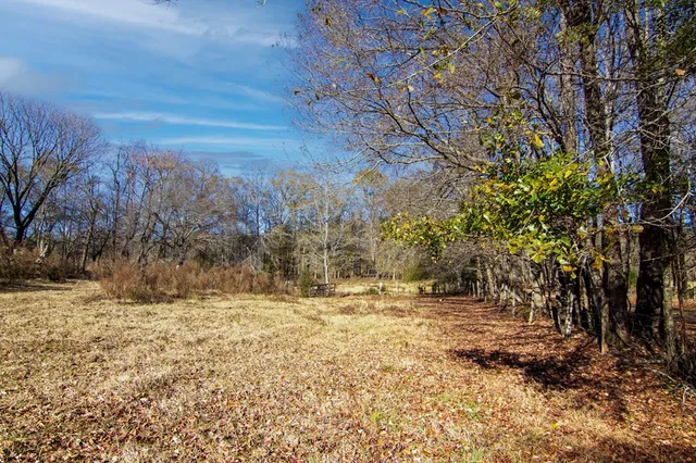 a view of a yard with a tree