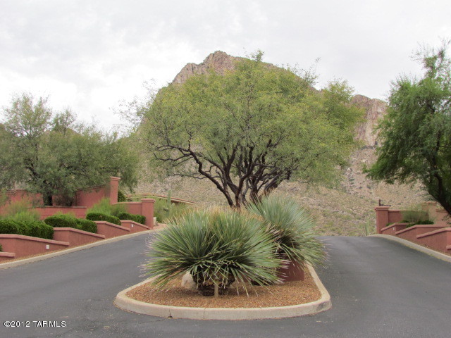 10083 North Bighorn Butte Drive Tucson, AZ 85737 - Photo 30 of 45