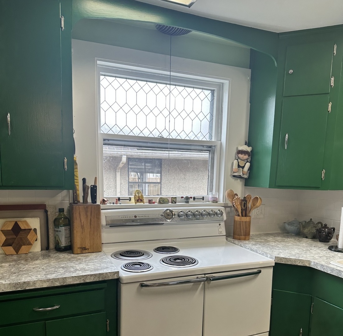 206 West Erie Street Spring Valley, IL 61362 - Photo 33 of 49