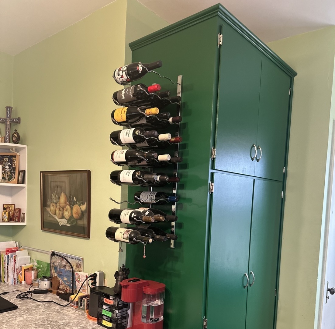 206 West Erie Street Spring Valley, IL 61362 - Photo 34 of 49