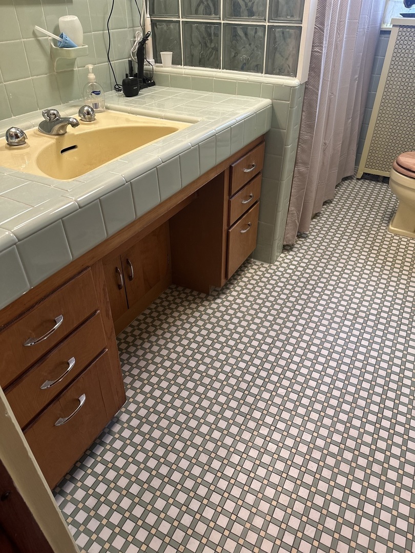 206 West Erie Street Spring Valley, IL 61362 - Photo 41 of 49