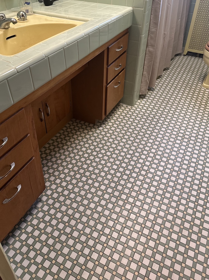 206 West Erie Street Spring Valley, IL 61362 - Photo 42 of 49