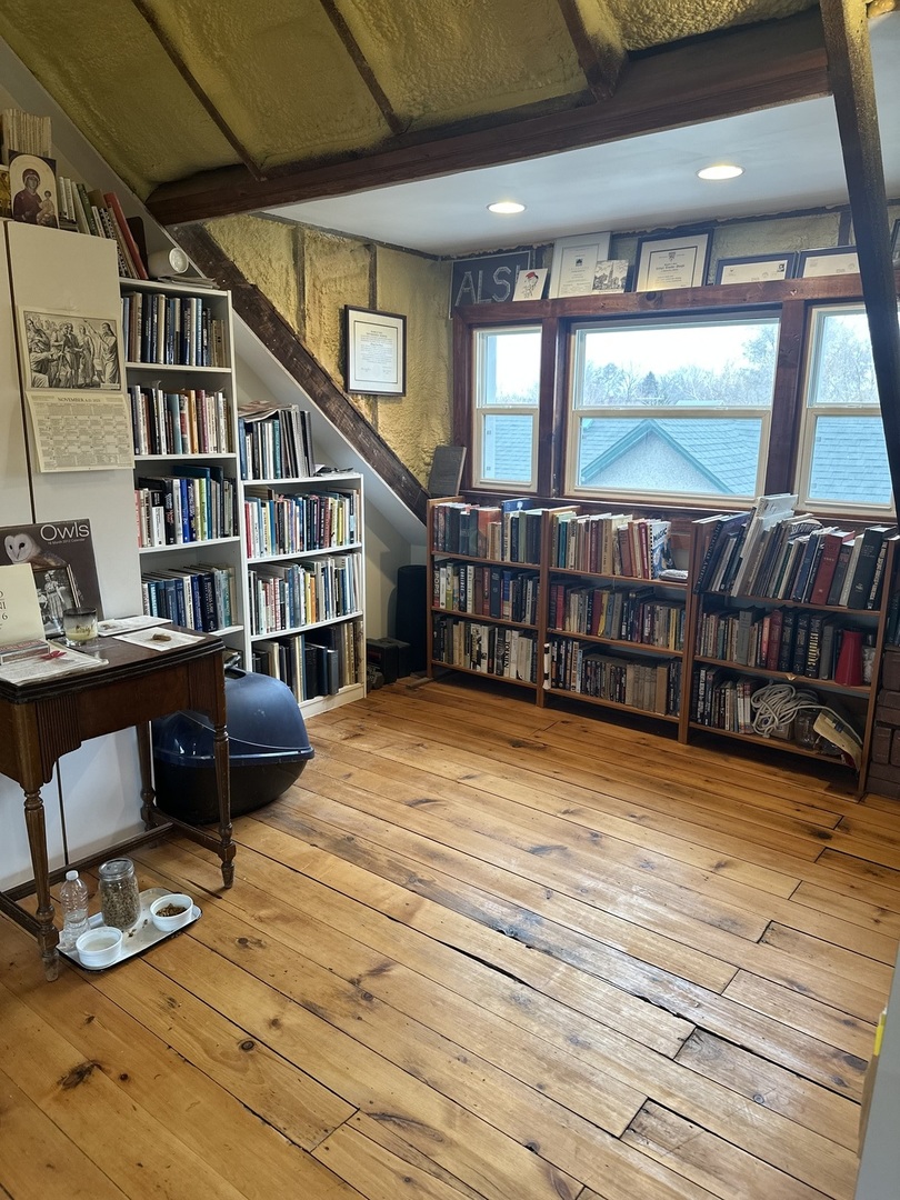 206 West Erie Street Spring Valley, IL 61362 - Photo 47 of 49