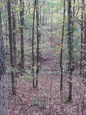 260 Lawson Road Hohenwald, TN 38462 - Photo 22 of 24 Gallery Image 22