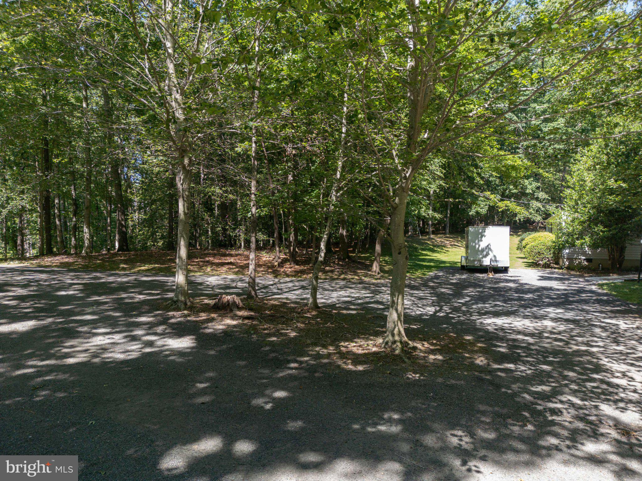 6067 Pilgrims Rest Road Broad Run, VA 20137 - Photo 44 of 58 Serene wooded retreat with ample space.