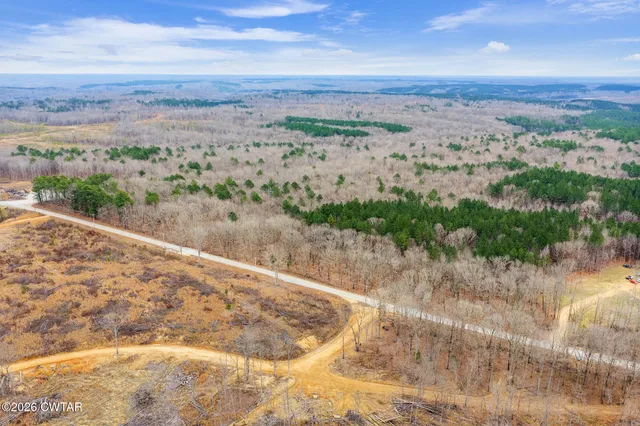 a view of a lake with a mountain