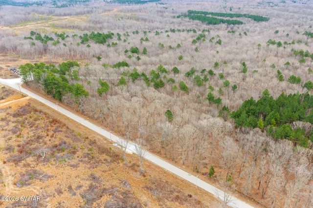 a view of a yard with a wooden wall